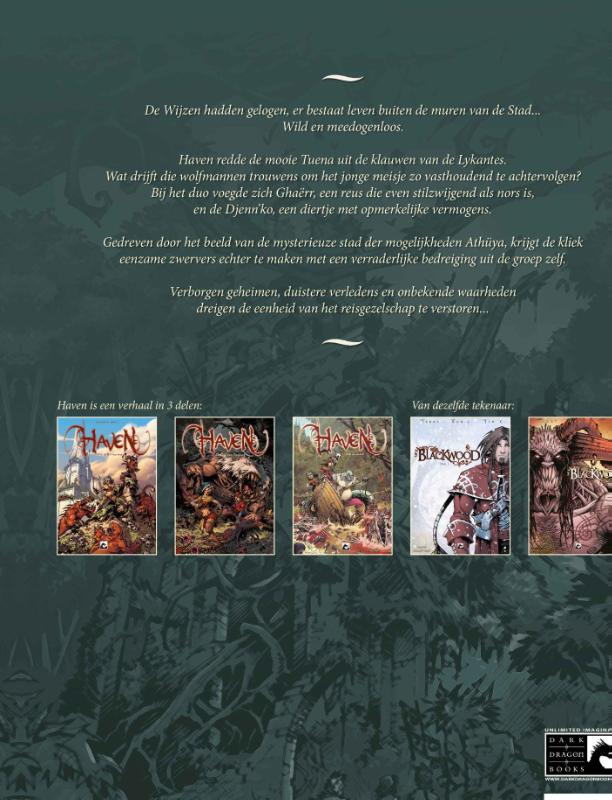 Achterkant van De ring van Damor