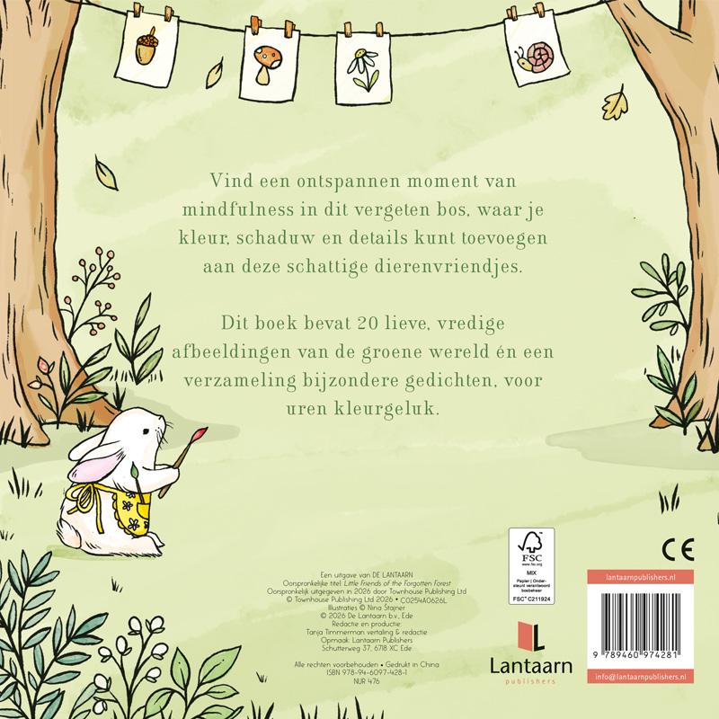 Achterkant van Kleine vriendjes uit het vergeten bos