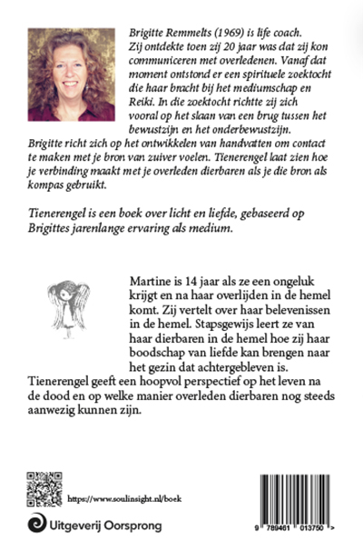 Achterkant van Tienerengel