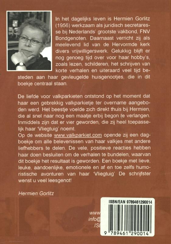 Achterkant van Mijn vliegtuig en ik