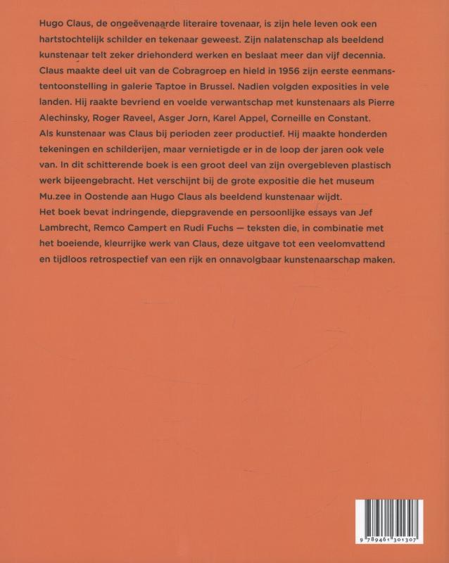 Achterkant van Omdat ik geen beeld ben