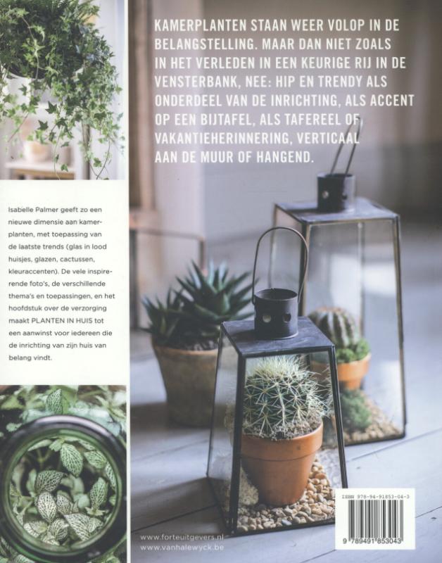 Achterkant van Planten in huis