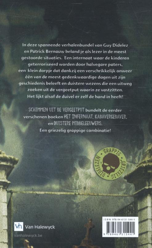 Achterkant van Schimmen uit de vergeetput