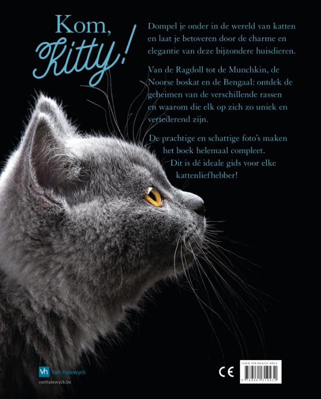 Achterkant van Kom. Kitty!
