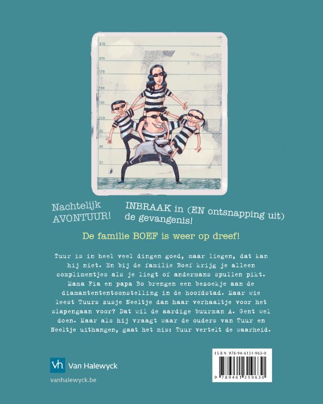 Achterkant van De familie Boef en de gouddiamant