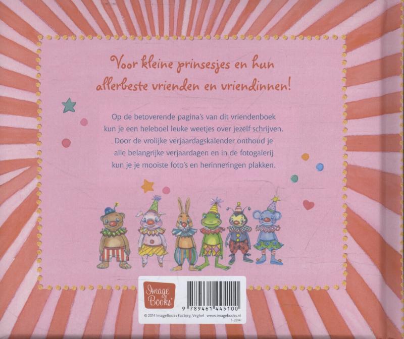 Achterkant van Mijn allerbeste vrienden en vriendinnen