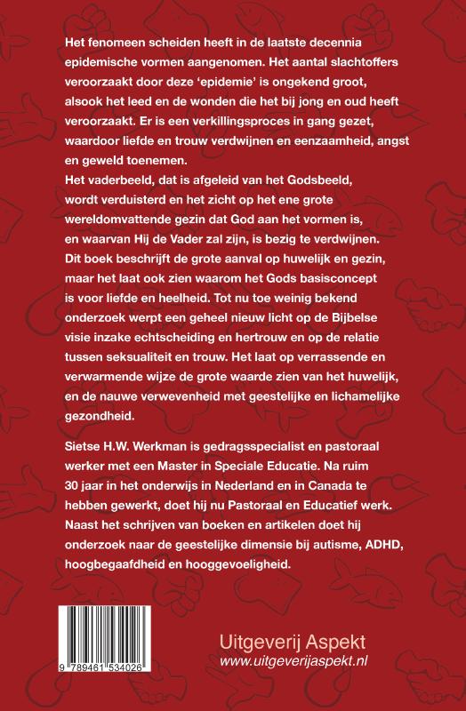 Achterkant van De scheidings-epidemie en bijbelse heelheid