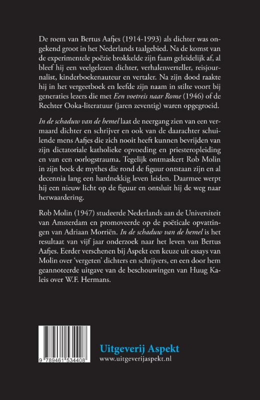 Achterkant van In de schaduw van de hemel