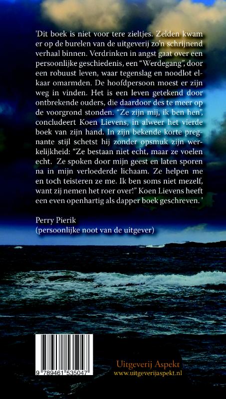 Achterkant van Verdrinken in angst