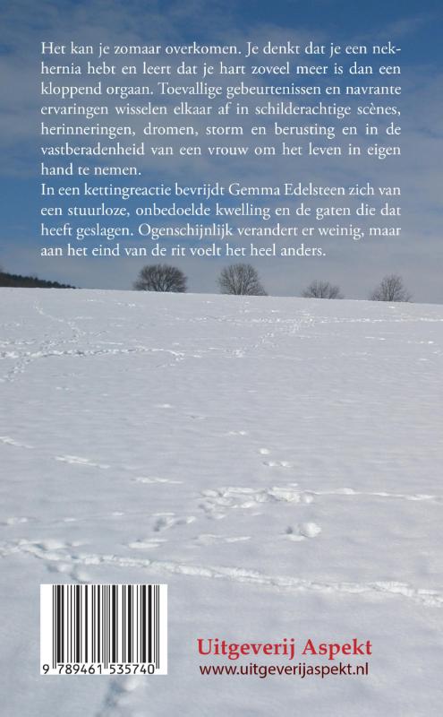 Achterkant van 16 versie 61