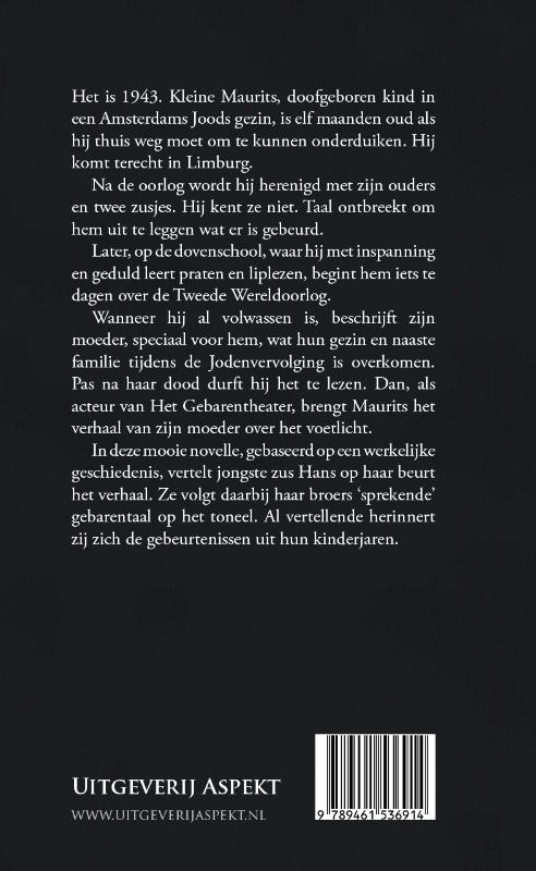 Achterkant van Kleine Maurits