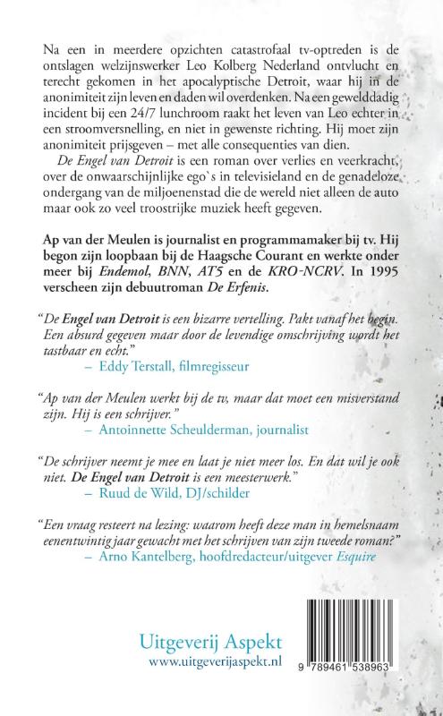 Achterkant van De engel van Detroit