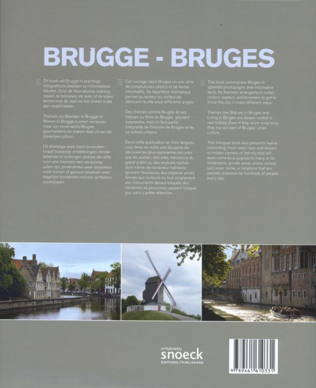 Achterkant van Brugge Bruges