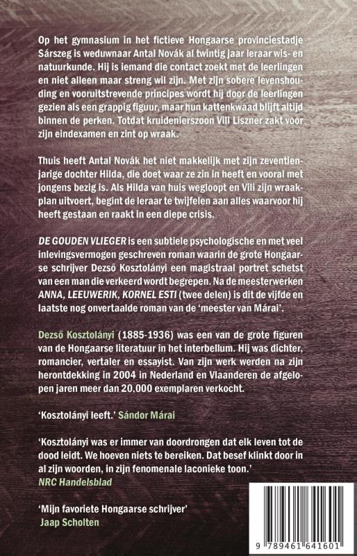Achterkant van De gouden vlieger