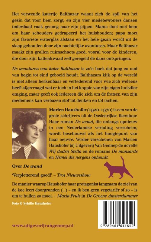 Achterkant van De avonturen van kater Balthazar