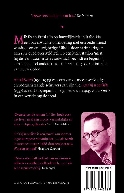 Achterkant van Reis bij maanlicht