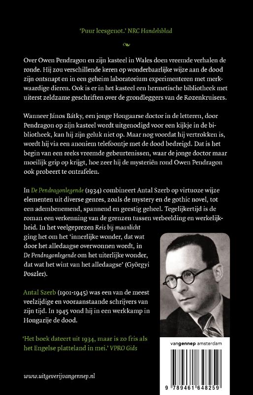 Achterkant van De Pendragonlegende