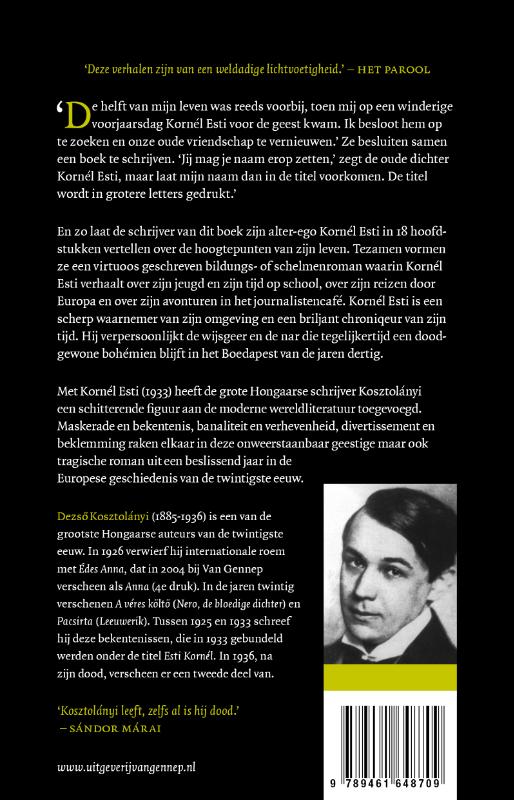 Achterkant van De bekentenissen van Kornél Esti
