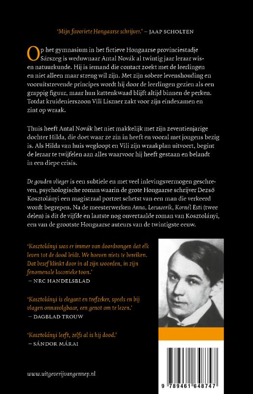 Achterkant van De gouden vlieger