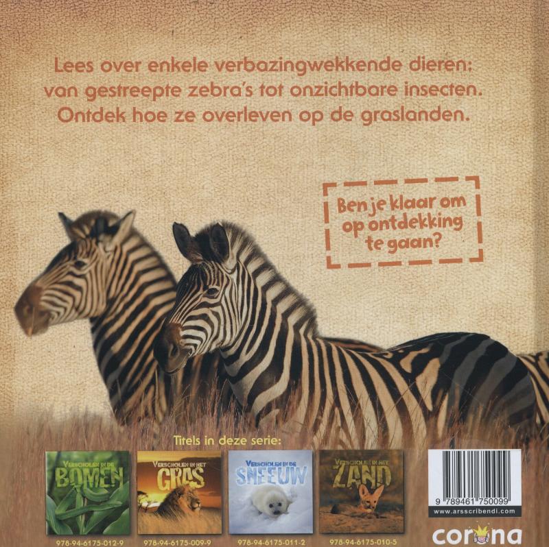 Achterkant van Verscholen in het gras