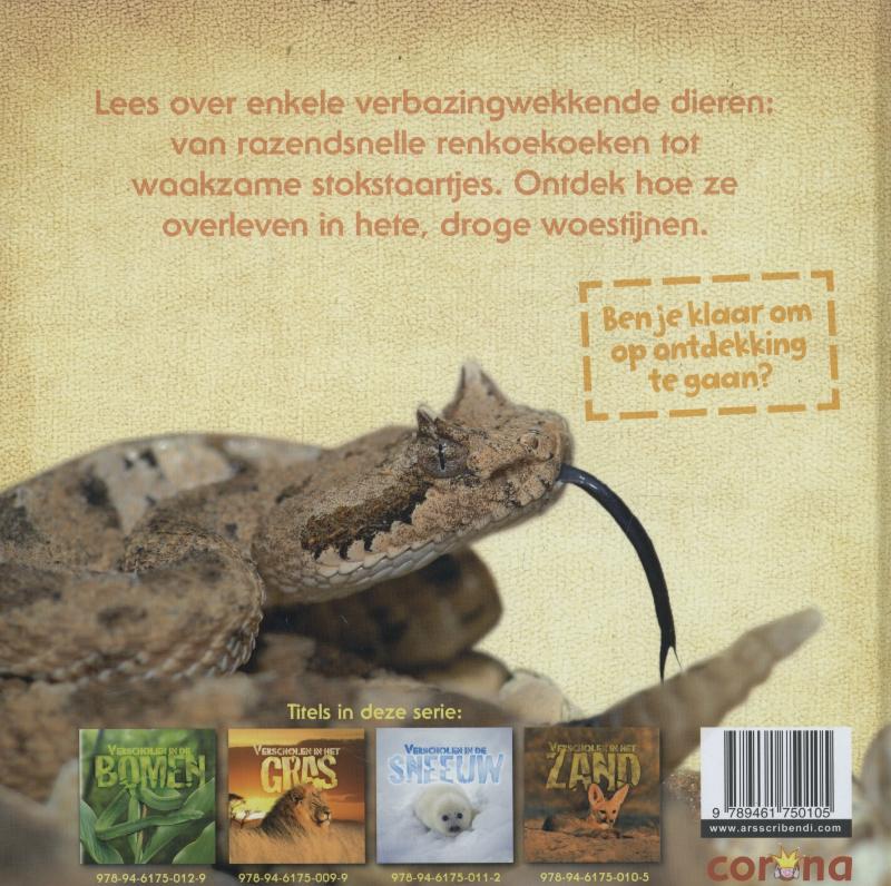 Achterkant van Verscholen in het zand