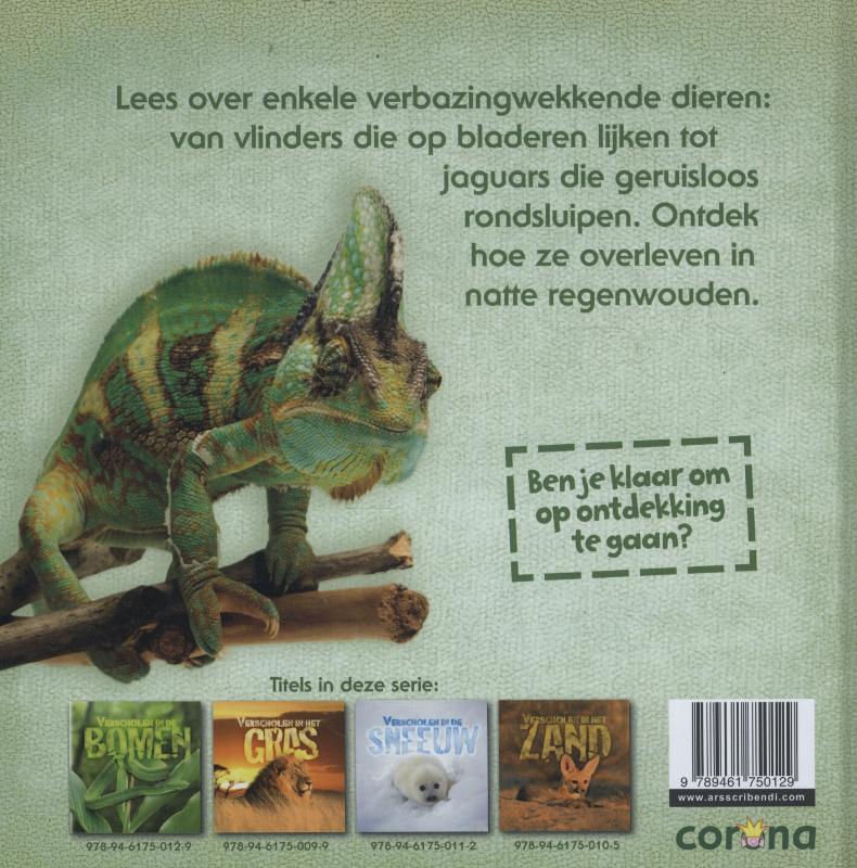 Achterkant van Verscholen in de bomen