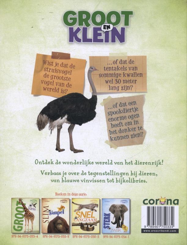 Achterkant van Groot en klein