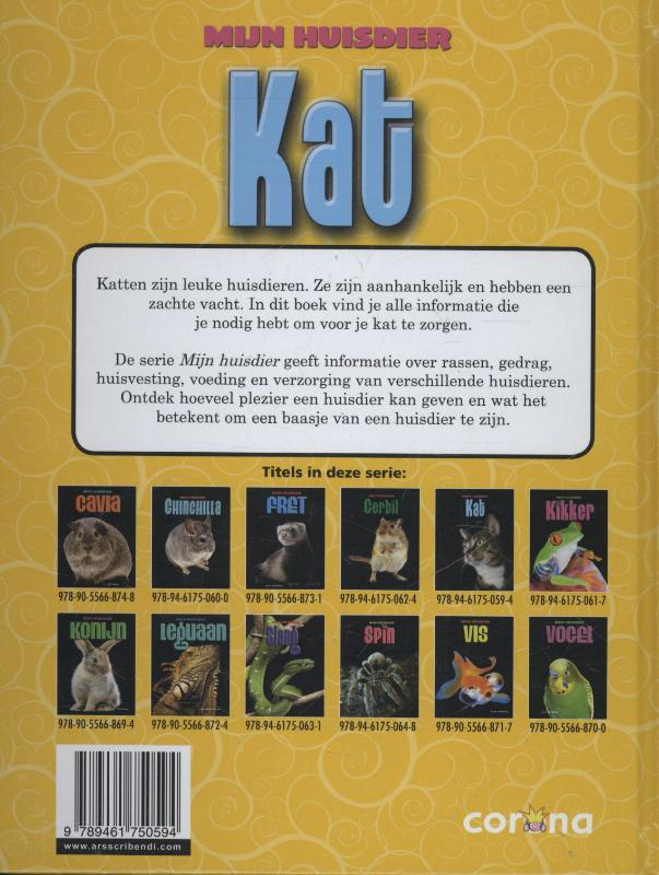 Achterkant van Kat