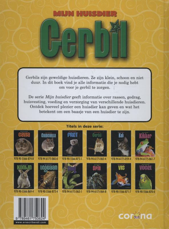 Achterkant van Gerbil