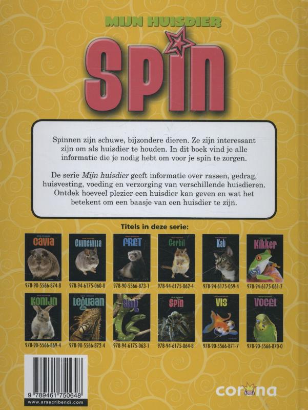 Achterkant van Spin