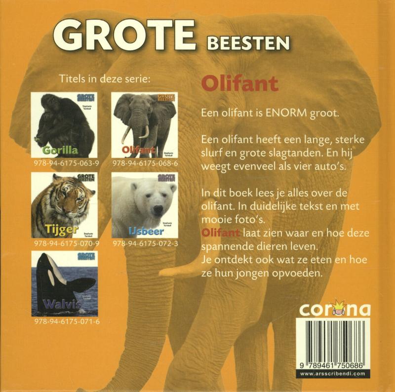 Achterkant van Olifant
