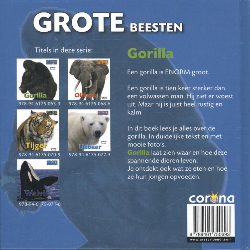 Achterkant van Gorilla
