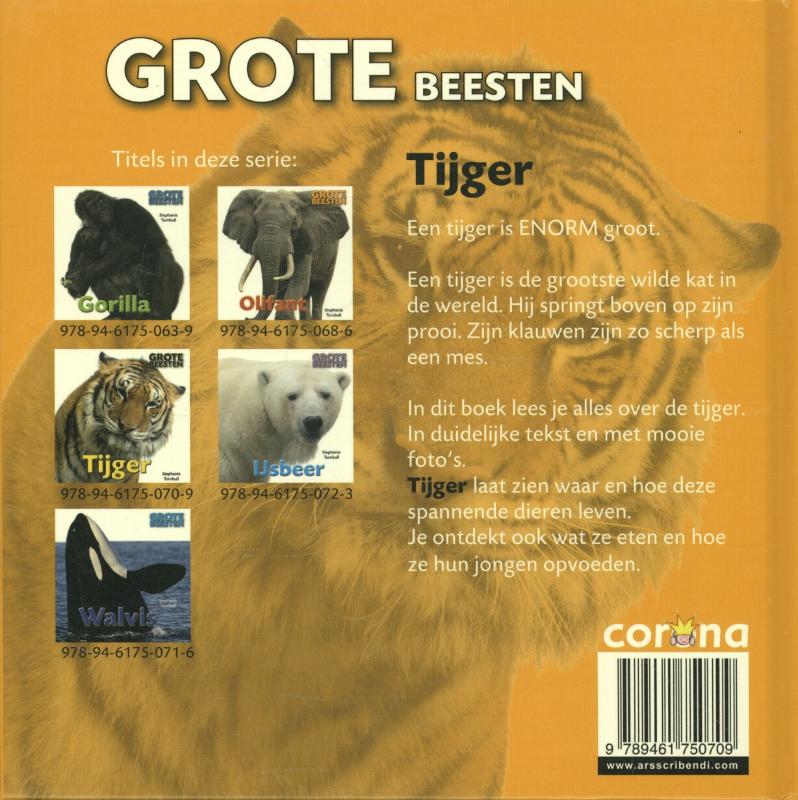 Achterkant van Tijger