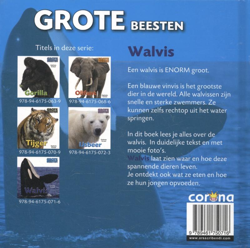 Achterkant van Walvis
