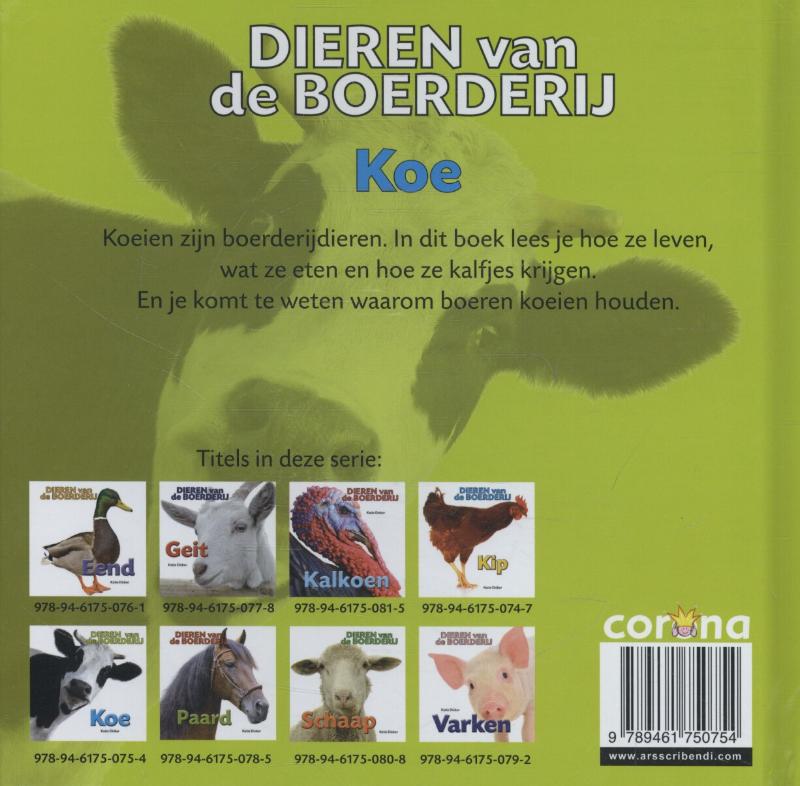 Achterkant van Koe