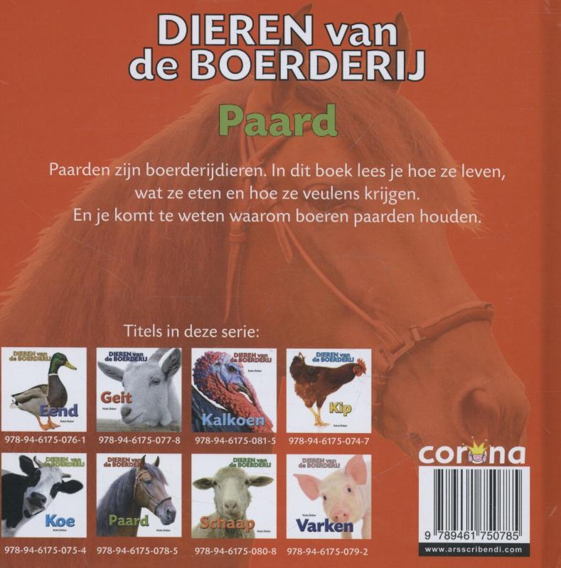 Achterkant van Paard