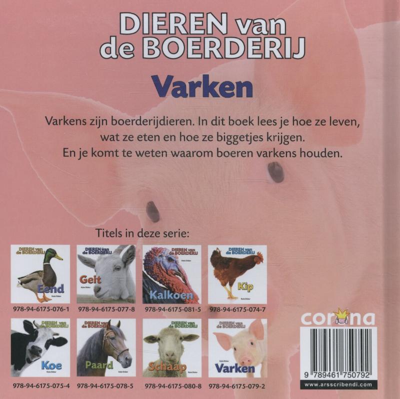 Achterkant van Varken