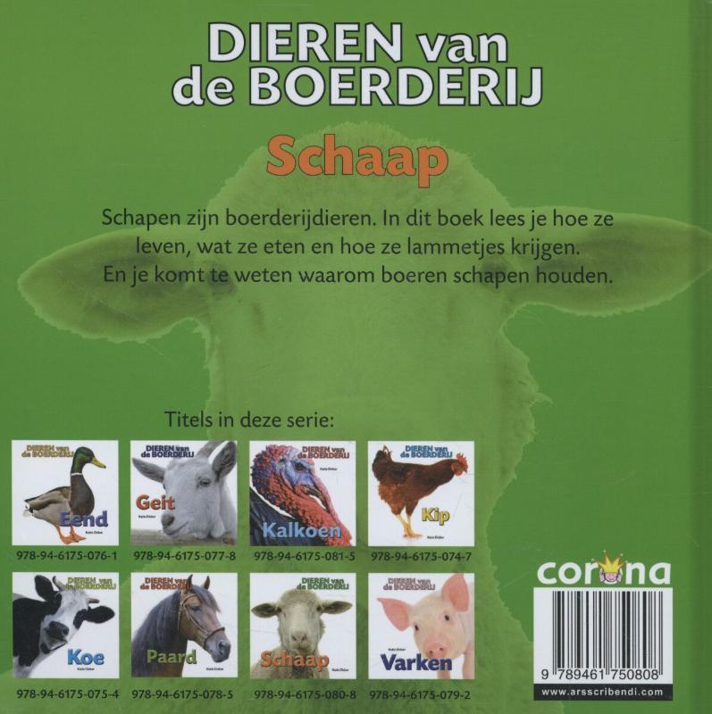 Achterkant van Schaap