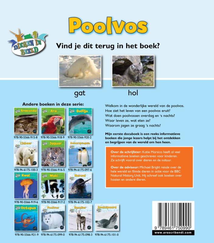 Achterkant van Poolvos