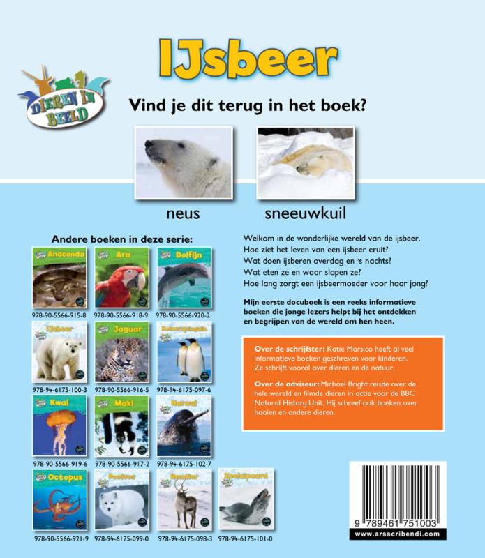 Achterkant van IJsbeer