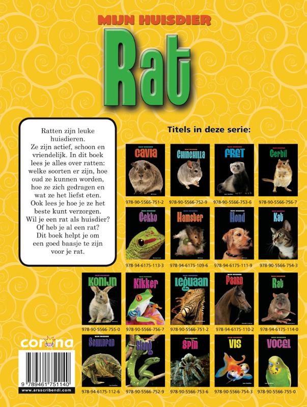 Achterkant van Rat