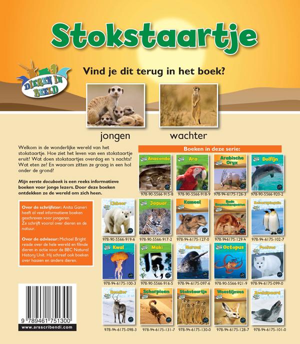 Achterkant van Stokstaartje