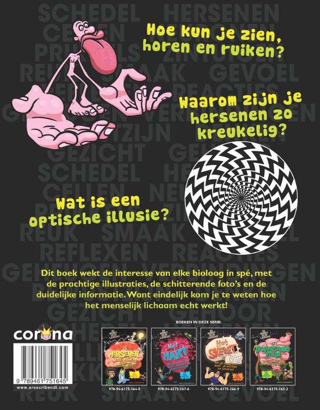 Achterkant van De hersenen