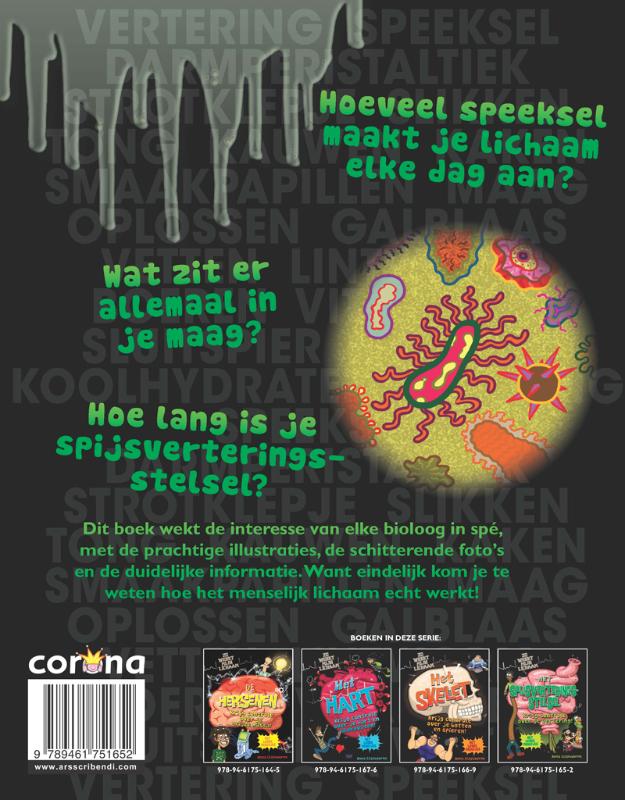 Achterkant van Het spijsverteringsstelsel