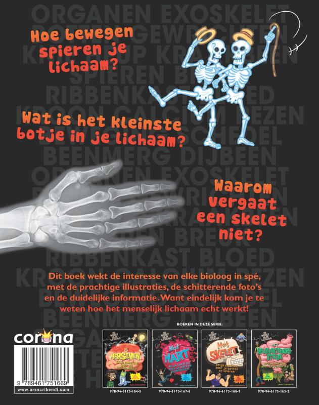 Achterkant van Het skelet