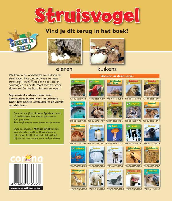 Achterkant van Struisvogel