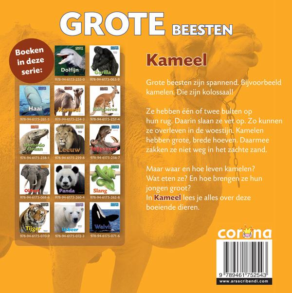 Achterkant van Kameel