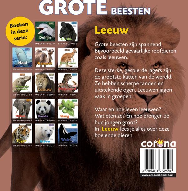 Achterkant van Leeuw