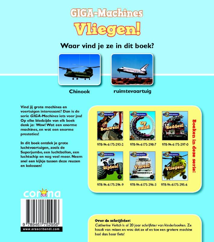 Achterkant van Vliegen!
