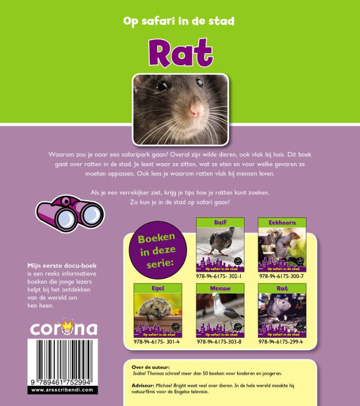 Achterkant van Rat